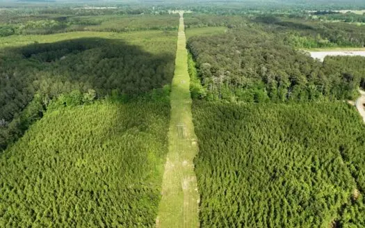 South Mississippi Hunting Paradise for Sale Amite County,MS