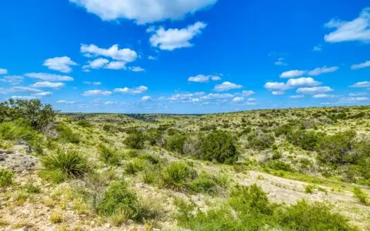 Hunting Ranch for sale in Ozona, Texas