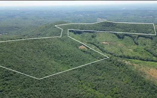 Prime Nelson County Land: Virginia’s Natural Beauty