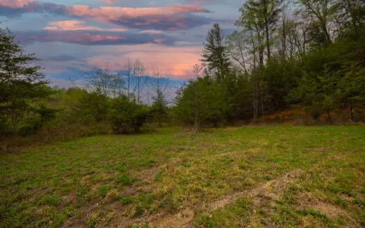 Land for Sale in Alexander CountyNC/Unrestricted Acreage