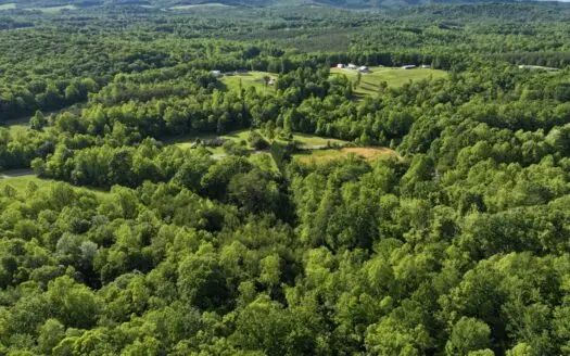 68.75 Ac± Located In Patrick County, Va