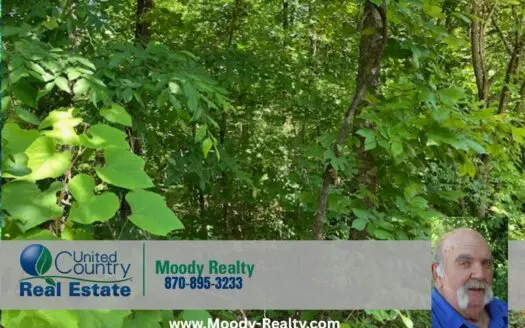 Hunting Acreage In The Arkansas Ozarks