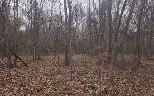 Acreage for Sale in Antlers, Oklahoma