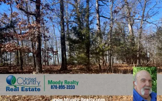 Ozarks Recreational/Hunting Acreage In Sharp County