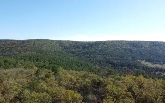 Land For Sale Adjoining Ouachita National Forest