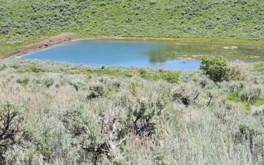 Colorado Hunting and Recreation Land