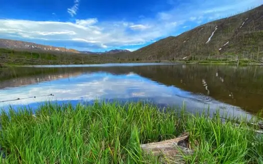 Premier Colorado Wilderness Lodge & Big Game Outfitter for Sale