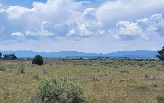 10 Acres for Sale in Estancia NM with Mountain Views