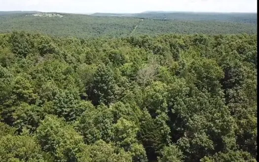 78 Acres of Hunting Ground For Sale in the Ozark Mountains