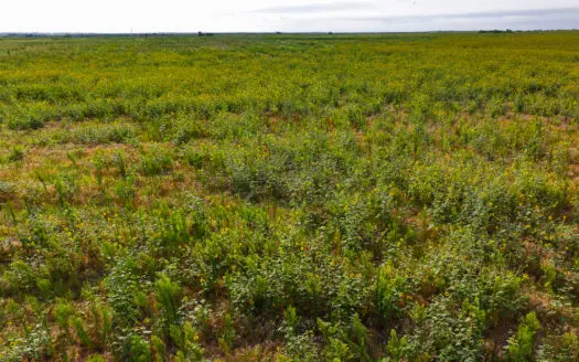 172 acres Hardeman County TX farm land