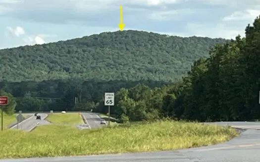40 acres of hardwood timber in Talladega