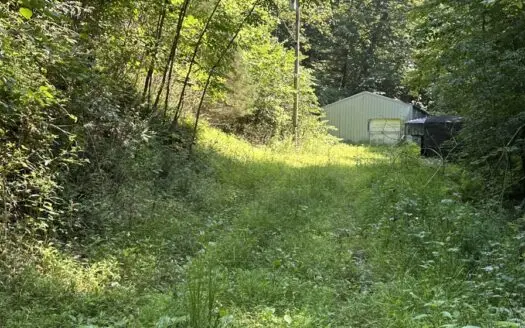 26.21+/- Wooded Acres. Unrestricted Recreational!!