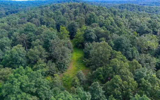 30 ACRE FARM FOR SALE IN RiPLEY COUNTY, MO W/ ADDITIONAL ACREAGE