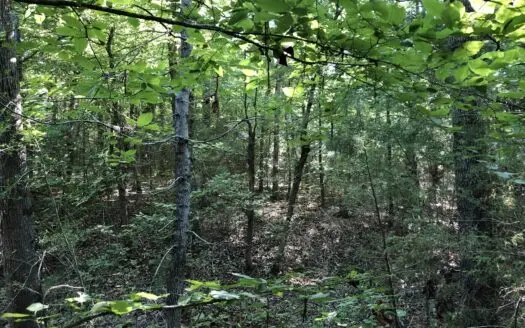 East Texas Hunting/Recreational Land For Sale