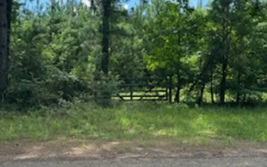 Ideal Building Site on 8yr Old Loblolly Pine Plantation