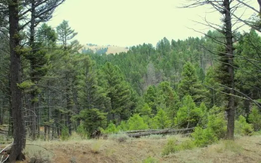 ~14 Acre Gold Mining Claim & Hunting Retreat Near Basin, MT