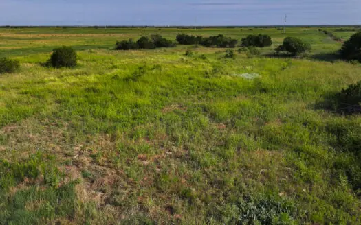 172 acres Hardeman County TX farm land