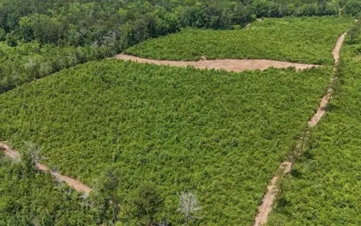 Small Hunting Tract FOR SALE in Amite County, MS