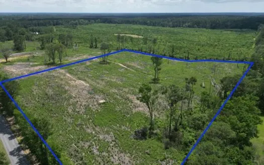 Land for Sale in Amite County, MS