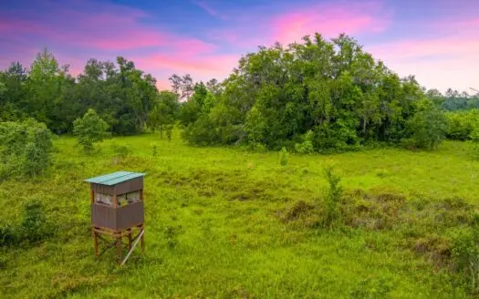 Large Hunting Acreage For Sale In North Florida