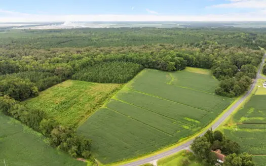 59 Acres of Farmland & Timberland in Rural NC – Great Hunting