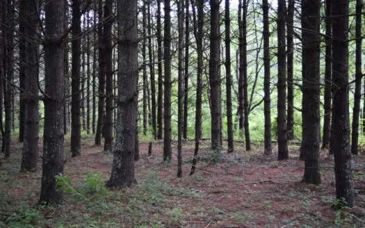 Wooded Land for Sale in Floyd VA