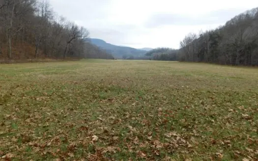 Brasel Creek Runs Through Farm Land For Sale in Newton Count
