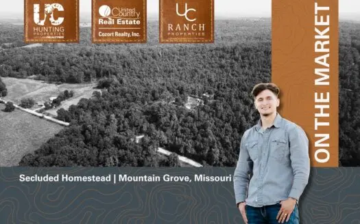 Homestead for sale in the Ozarks