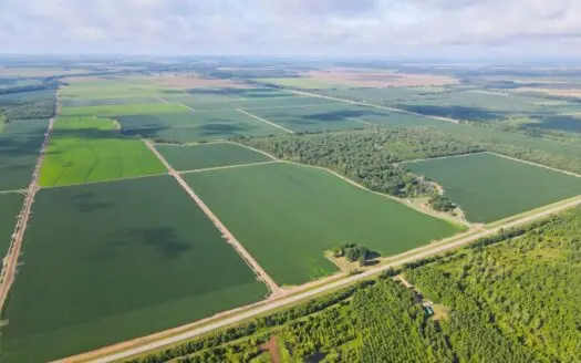 500 +/- Acres Precision Leveled and Irrigated AR Farmland