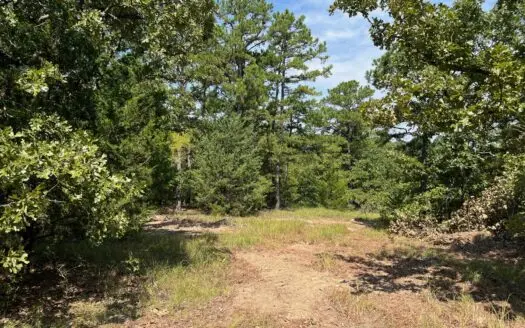 Land for Sale Talihina ,OK- Mountain Recreational Hunting Land