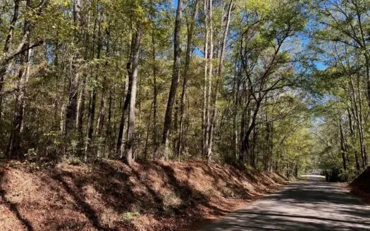 51.52 Acres Land for Sale Near McComb MS