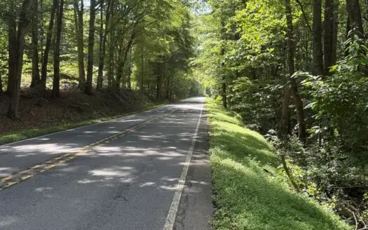 Piedmont Privacy with Stream & Road Frontage