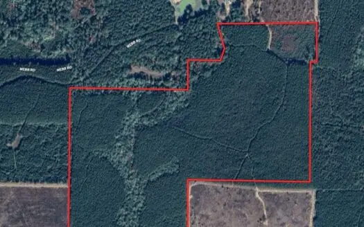100± Acres of Timber & Hunting Land | Union Parish, LA