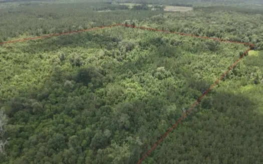 Hunting Land for Sale along Caney Creek in Evangeline Parish