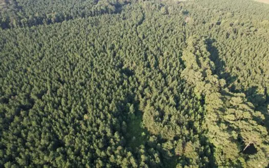 Timberland & Hunting Land For Sale in Bradley County, AR