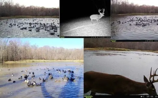 Final Flyway – Jefferson County MS Duck Hunting Land