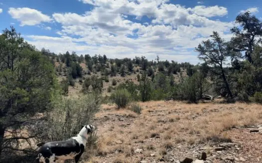Unique 7 acre off grid Northern  AZ parcel