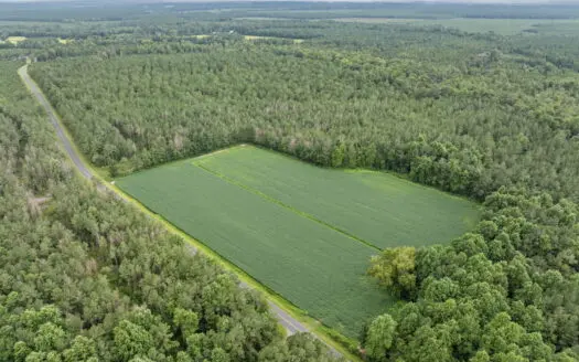 77-Acre Farm & Timberland with Hunting Near Aurora, NC