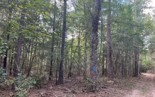 Hunting Land for sale within West Bay WMA near Elizabeth, LA