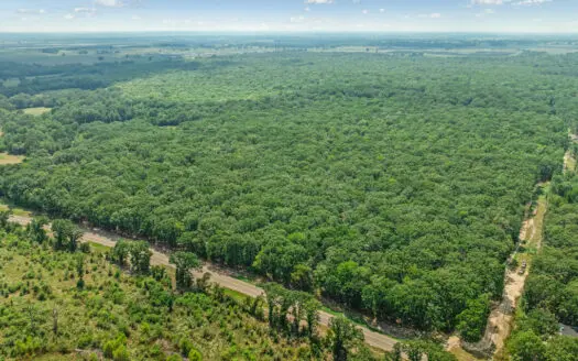 27± Acre Hunting & Homestead Tract – Bogata, Texas