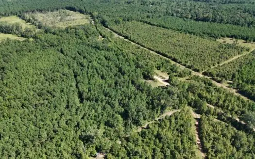 Hunting & Timberland For Sale in Union Parish-Traylor Place
