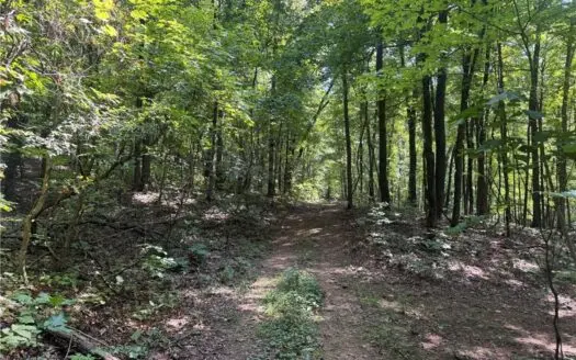 Prime Northwest Ar 40 Ac Madison County Hunting Land For Sale