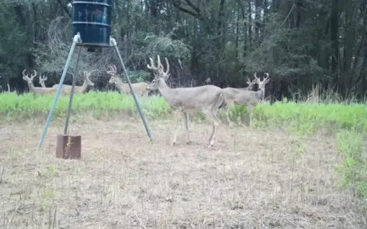 Hunting and Cattle Ranch for Sale in Oklahoma