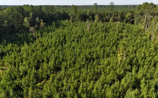 Small Hunting Tract for Sale in Marion, LA – Mclemore Tract