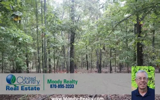 Ozarks Real Estate With Building Sites For Sale Near Salem Ar