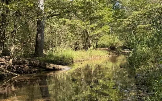 Hunting And Recreational Land For Sale In Arkansas Ozarks