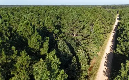 South Arkansas Timber Tract For Sale – Stateline Tract