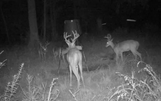 Land for Sale in Tangipahoa Parish, LA.