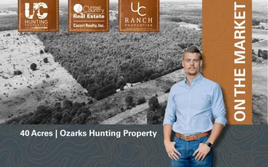 Hunting Land in the Missouri Ozarks