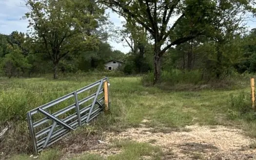 Timberland W/ Creek W/ Old Home Site near Chidester, AR for Sale